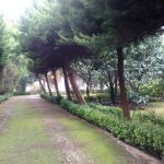 خرید باغ ویلای قدیمی در چهارصد دستگاه رامسر