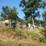 خرید زمین با جواز ساخت ابتدای جاده اربکله رامسر